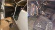 Delincuentes vandalizaron y robaron elementos de la camioneta del intendente de Santa Fe, Juan Pablo Poletti