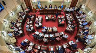 Diputados: 1 de cada 5 bancas es de una joven