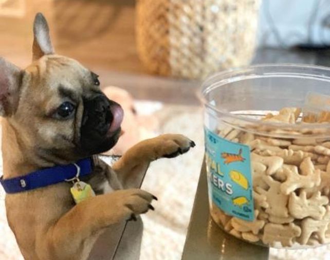 Una asociación de veganos reclama que se prohíban las galletitas con formas de animales
