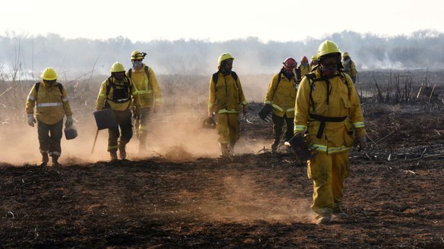 Desde hace meses el Delta del Paran&aacute; sufre un verdadero ecocidio.