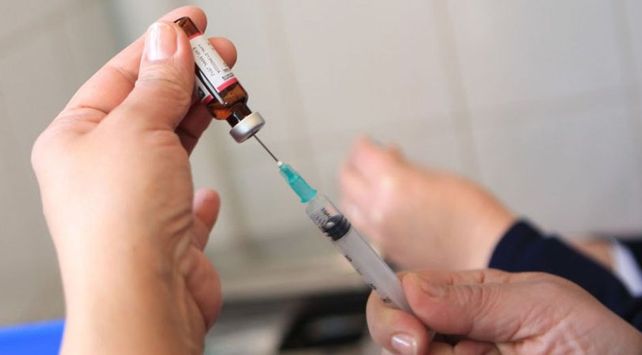 Vacunación. A la fecha se aplicaron 295.377 dosis