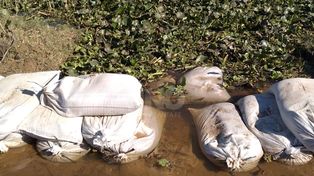 Vecinos de Alto Verde denuncian que sacan las bolsas y el camino se inunda