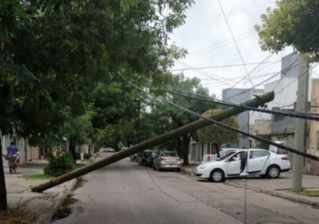 Temporal en Rosario: 50 milímetros de lluvia en una hora, calles anegadas y árboles caídos