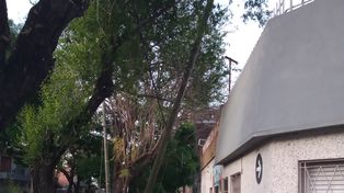 Abrirán un registro de columnas de cableado para reclamar por riesgo de caída