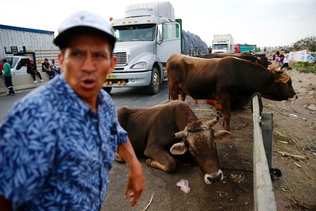 Se agrava la crisis en Perú: en otra jornada sangrienta ya suman 20 los muertos