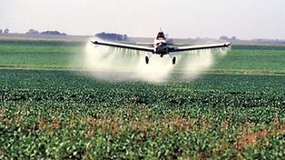 Más productores van a juicio por fumigaciones