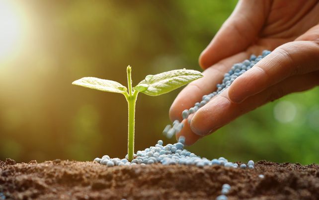 ARCA incorpora permisos de fertilizantes a la VUCEA y busca agilizar importaciones clave para el agro