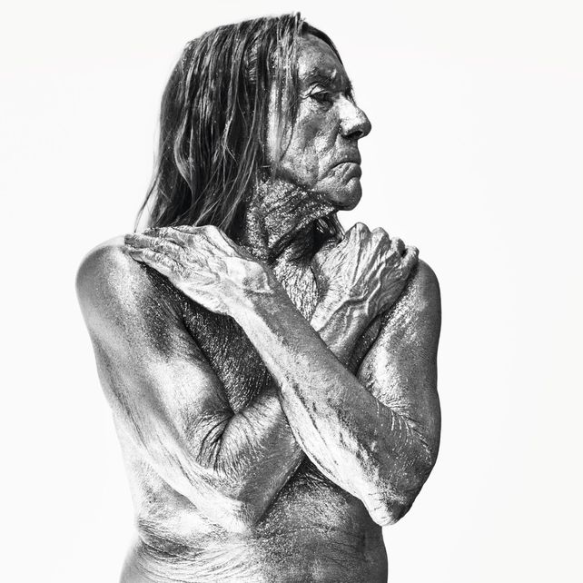 A sus 74 años, el cantante Iggy Pop es, junto a Cher, uno de los veteranos del calendario. La imagen del rockero ilustra el mes de agosto.