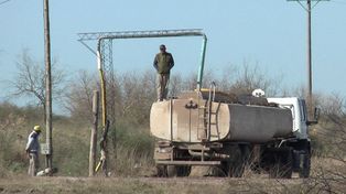La sequía se llevó las reservas de alimento para los animales