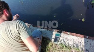 Rincón: el municipio monitorea el estado del río ante la mortandad de peces