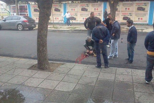 Pirotecnia cero: tras la muerte de un perro, insisten en la restricción