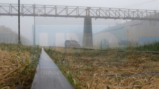 SMN: se vienen días más fríos y otra jornada de neblinas&nbsp;