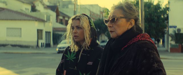 Blondi: Una mirada irónica sobre la realidad