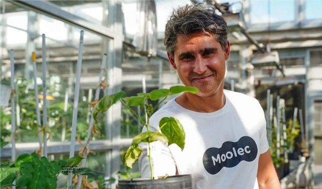 Innovación. Gastón Paladini es CEO y fundador de Moolec Science.