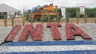 Preocupación en Santa Fe por la reestructuración del Inta: Pasará a ser mucho más centralista