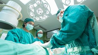 Tenemos un órgano en el cuerpo que no ha sido reconocido como tal hasta la fecha