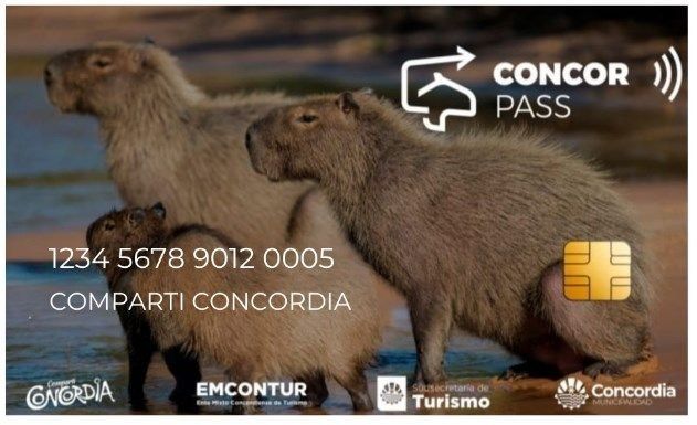 Beneficios de hasta un 50% de descuento con el programa ConcorPass Beneficios de hasta un 50% de descuento con el programa ConcorPass