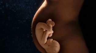 Una de cada cuatro rosarinas desconoce los factores que afectan la fertilidad