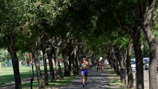 El sol y una temperatura agradable dominarán el tiempo en Rosario.