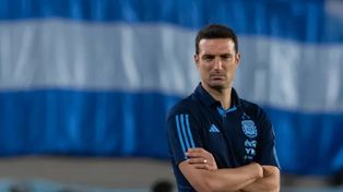 Lionel Scaloni debe dar a conocer a los convocados para las Eliminatorias en los próximos días.