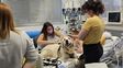 El Hospital Vilela autorizará el ingreso de mascotas como apoyo emocional para niños internados