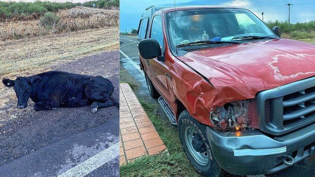 Accidentes: una camioneta embistió una vaca y un auto despistó por un charco