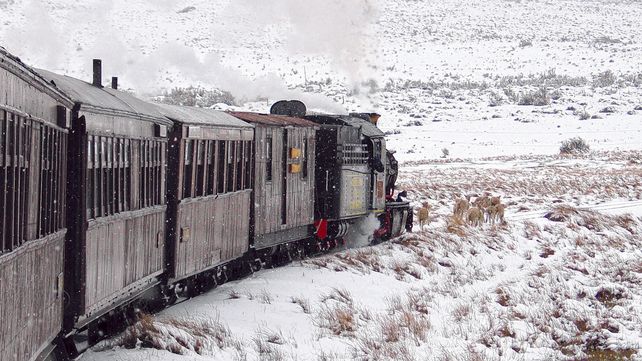 La magia del viaje. La excursión que realiza La Trochita se trata de un paseo de tres horas en un tren a vapor de casi cien años