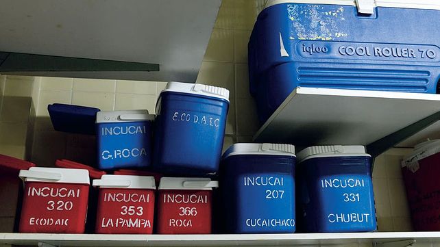 La Justicia anuló una medida que ordenaba incluir a un ciudadano extranjero en lista de espera para trasplante cardíaco