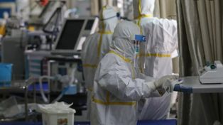 Científicos argentinos ensayan con una bacteria aplicada en spray que protegería contra el covid