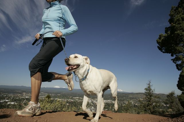 Tips para ejercitarte junto a tu perro