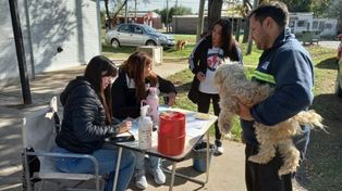 La jornada incluyó vacunación y desparasitación de mascotas.