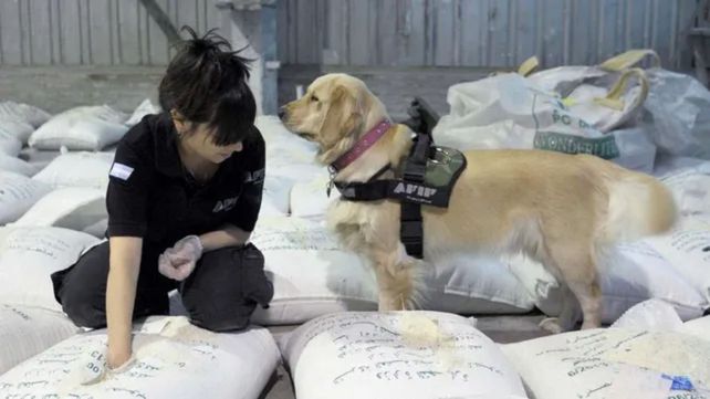 La banda intentó enviar 40 kilos de cocaína líquida impregnados en un cargamento de 46 toneladas de arroz. Fue en septiembre de 2015.