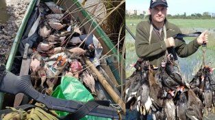 Caza furtiva en la Setúbal y escándalo ambiental: denunciaron la matanza de aves protegidas frente a la Costanera santafesina