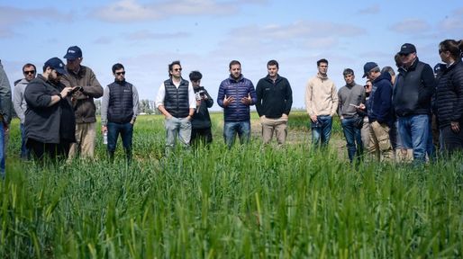 La cebada, orgullo argentino: se presentaron nuevas variedades