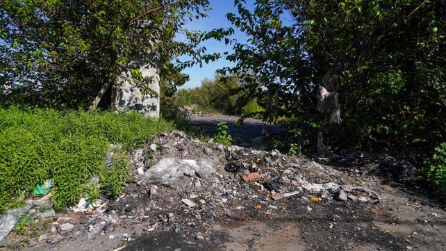 Los perros recorren una amplia zona desde Ovidio Lagos.