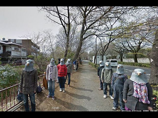 Palomas esperando las migas de pan.