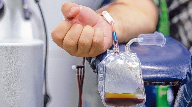 Tratamiento con plasma: instituciones esperan autorización