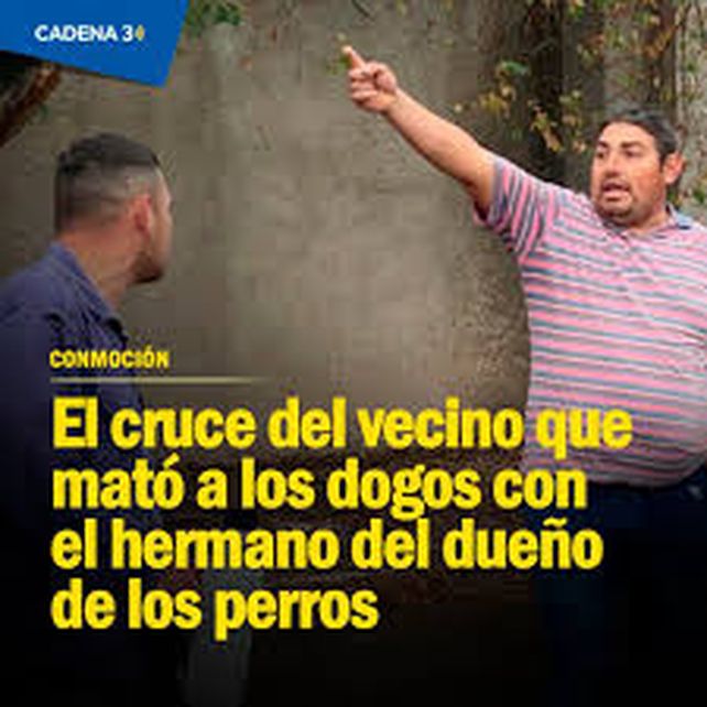 Esos dogos ya no eran dogos: eran asesinos