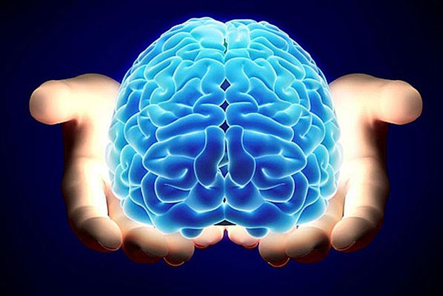 ¿Qué porcentaje del cerebro utilizamos?