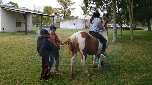 En la escuela N° 39 de Villa Urquiza nació la cría de un caballo rescatado del cirujeo