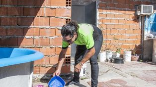 Hasta la semana pasada no se habían registrado nuevos casos de dengue en esta temporada.