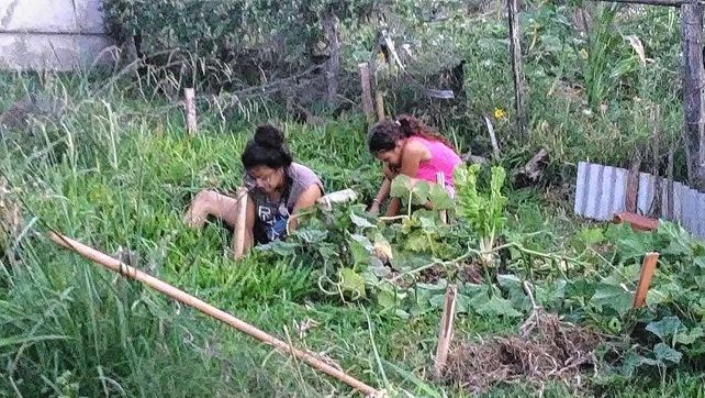 Muchas mujeres en el campo sostienen la economía del hogar.