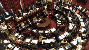 El Senado convirtió en ley la creación del Instituto de la Música