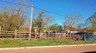 Pretendían marcar los terrenos para levantar casillas en una zona prohibida.