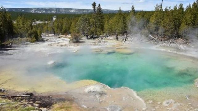 Murió desintegrado en ácido al caer en un géiser del Parque Yellowstone