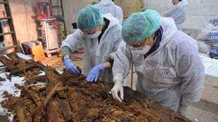 España: los restos hallados en un convento no son los de Cervantes
