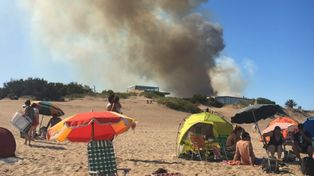 Un incendio forestal afectó la zona norte de Villa Gesell