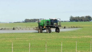 Los cambios a la Ley de Agroquímicos tuvieron la aprobación del Senado y volvió a Diputados que sesiona este jueves y podría sancionarla. Habrá una protesta