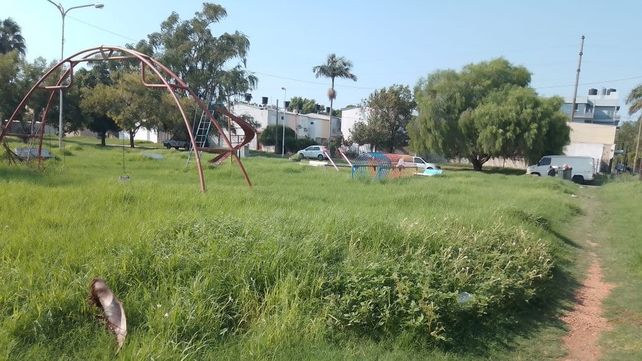 Plaza María del Carmen Caviglia de Boeykens con pastizales de más de 80 centímetros de alto y basura.