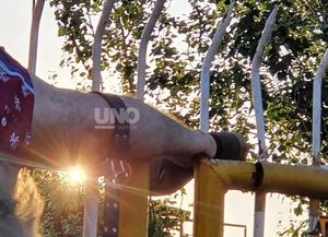 Se incrustó el tobillo en una reja al intentar saltar un portón
